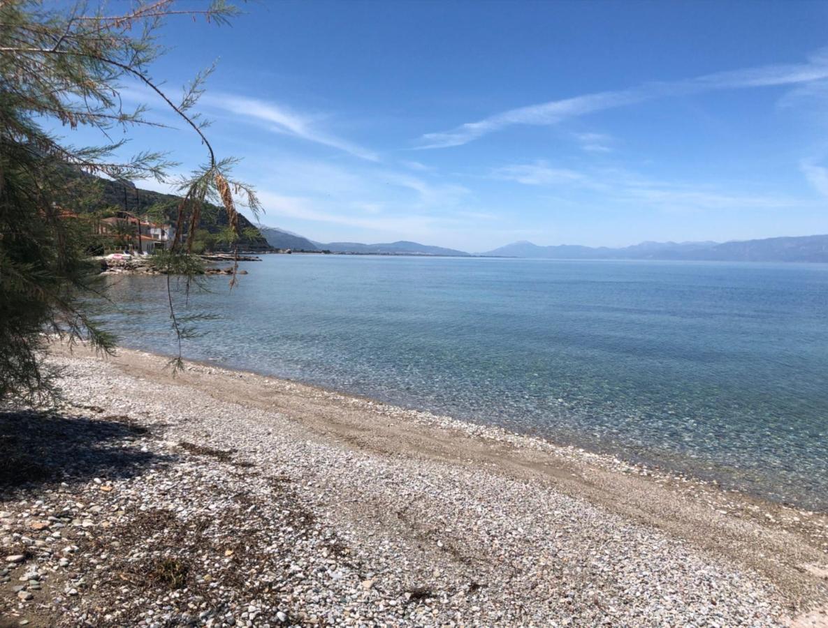 Paralia Platanou Seaview House Екстериор снимка