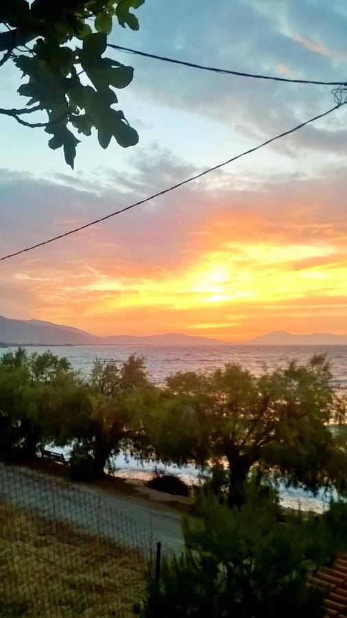 Paralia Platanou Seaview House Екстериор снимка